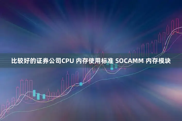 比较好的证券公司CPU 内存使用标准 SOCAMM 内存模块